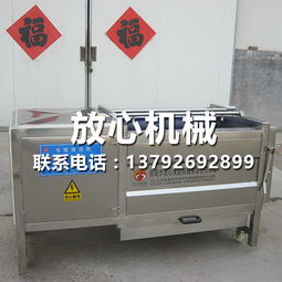 济宁全自动洗姜机专业制作厂家 放心机械用专业技术做专业产品